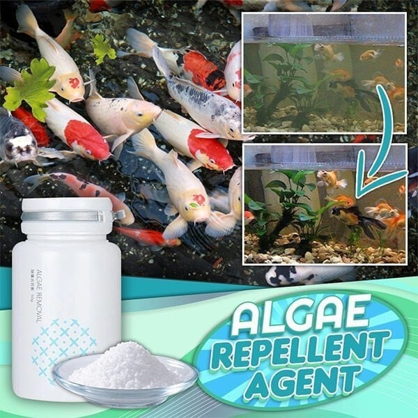 Teich Algenmittel 50 g | Klärt grünes Wasser &amp; bindet Schwebstoffe | Für Teichfische &amp; Pflanzen geeignet, Dosierung 1–2 g/100 L