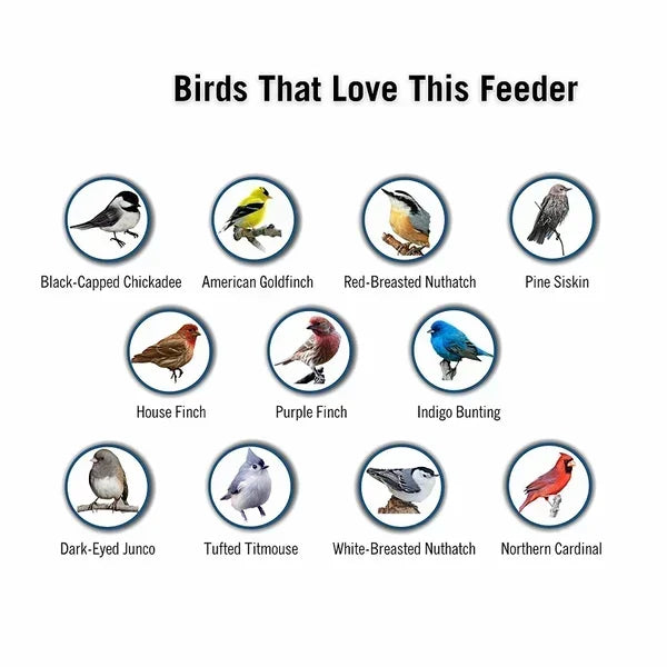 BirdHaven™ Eichhörnchen-sichere Vogelfutterstelle