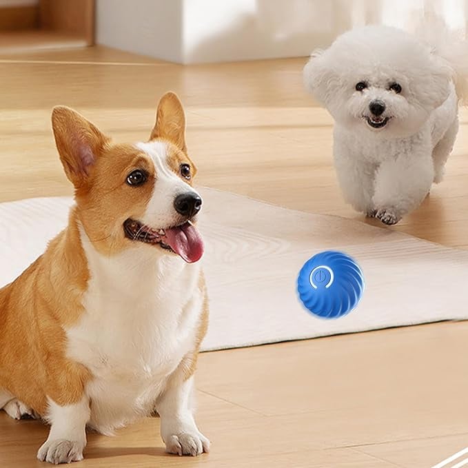 Interaktiver Hundespielball mit Sensoren | Zufallsbewegungen &amp; Blinklicht | Beschäftigung gegen Langeweile | 60 Min Spielzeit