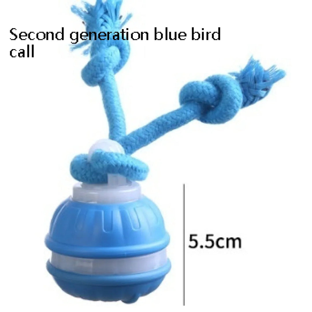 Balle interactive pour chien résistante aux morsures | Roule et saute de façon imprévisible pour plus de stimulation ludique | Intérieur/extérieur | Pour toutes races