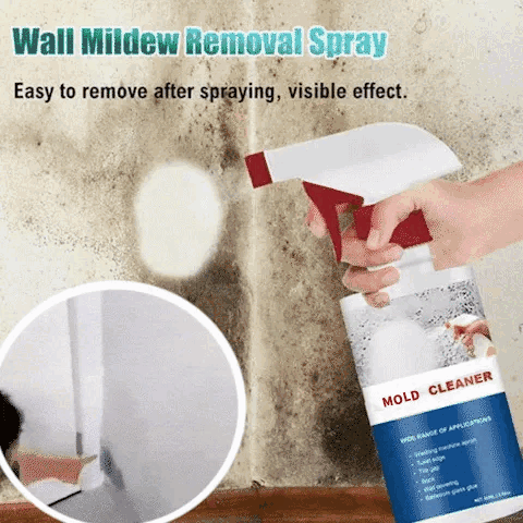 Kraftvoller Anti-Schimmel Reiniger Spray | Entfernt Schimmel &amp; Mehltau effektiv | Aktiver Sauerstoff ohne Chlor | 1+1 Gratis Angebot