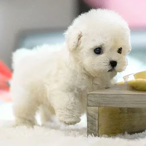 RoboPuppy – Realistischer Roboter-Welpe
