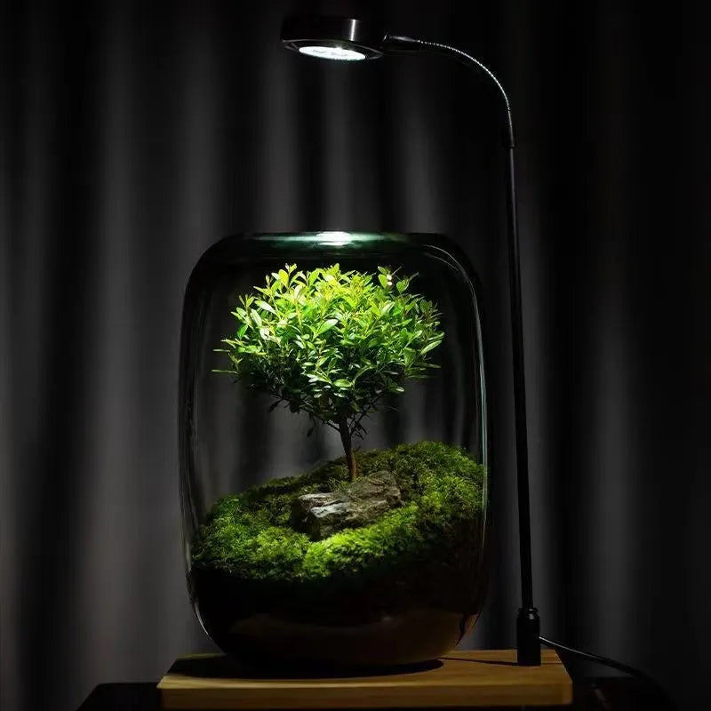 LushVista - Diorama paesaggio di muschio