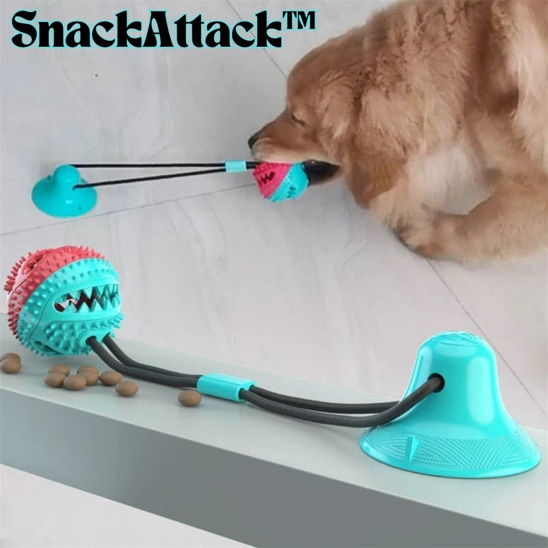 GripPlay™ — Halte deinen Hund den ganzen Tag über glücklich, beschäftigt und vor Ärger geschützt