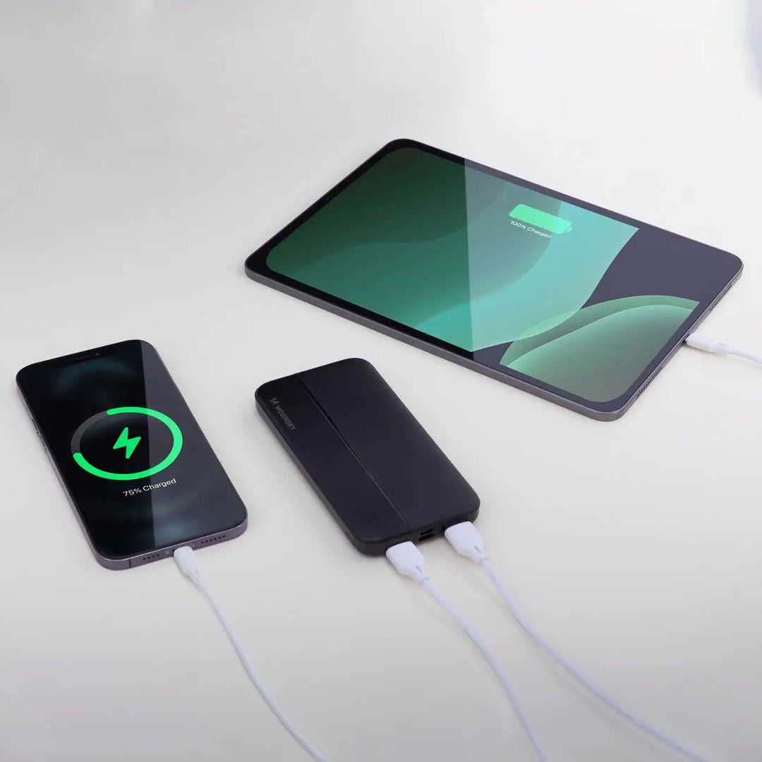 Powerbank 10.000 mAh | Kompaktes Dual-USB-Ladegerät mit USB-C, Micro-USB und LED-Anzeige