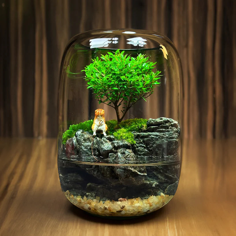 LushVista - Diorama paesaggio di muschio