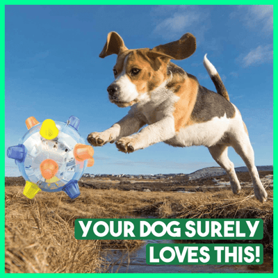 Interactive Dog Ball | Bouncing &amp; Light-Up | With Sound Function | BPA-Free &amp; Durable