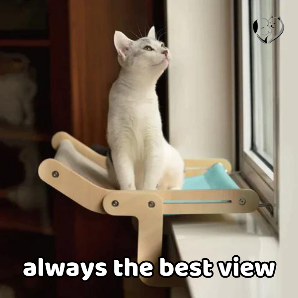 KatzenLounge™ Ultimate Cat Comfort