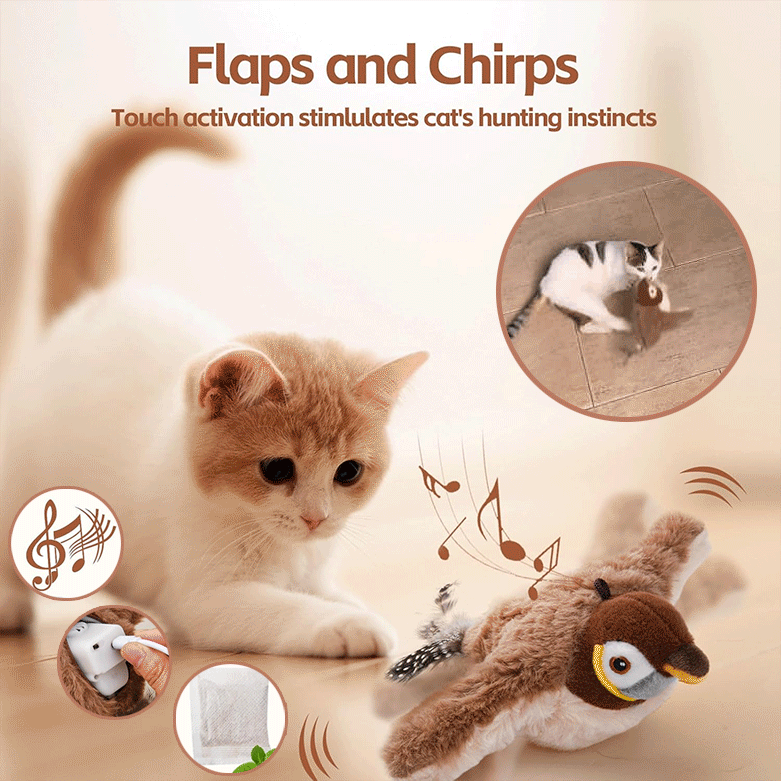 Interaktives Katzenspielzeug mit flatternden Flügeln | Bewegungssensor &amp; Vogelgeräusche | USB-aufladbar 25 x 22 cm