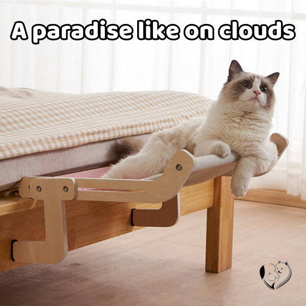KatzenLounge™ Ultimate Cat Comfort