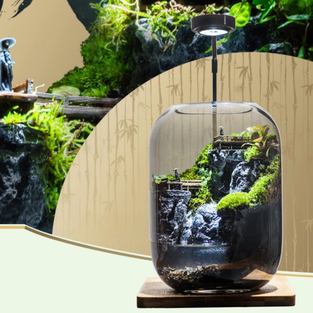 LushVista - Diorama paesaggio di muschio