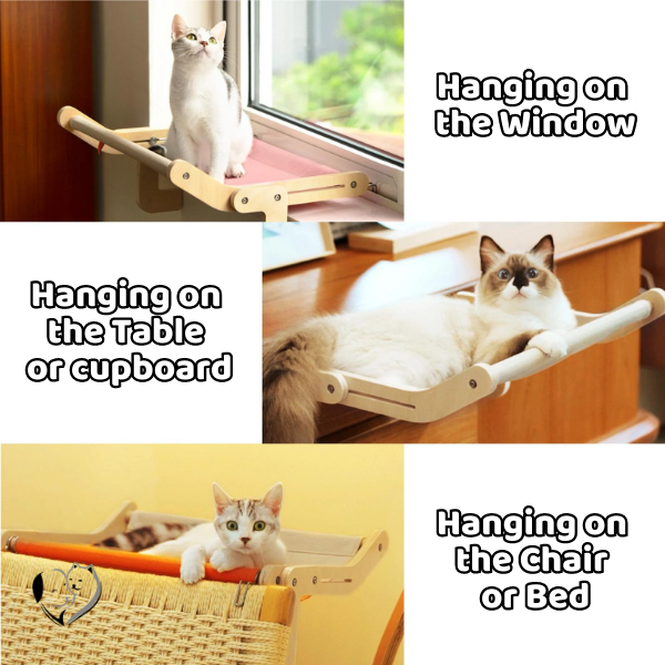 KatzenLounge™ Ultimate Cat Comfort