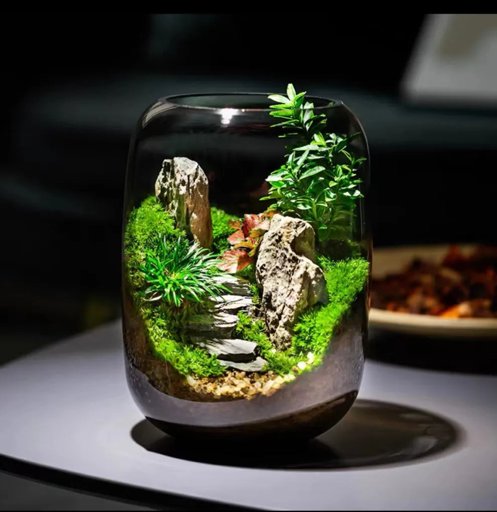 LushVista - Diorama paesaggio di muschio