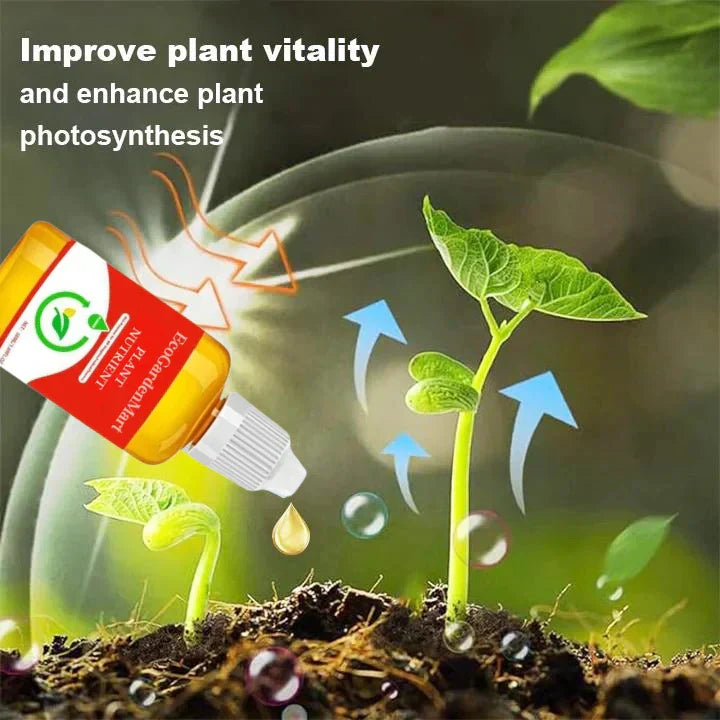 Natural plant growth booster | Enzymes &amp; plant extracts for roots &amp; foliage | For houseplants, vegetables &amp; flowers