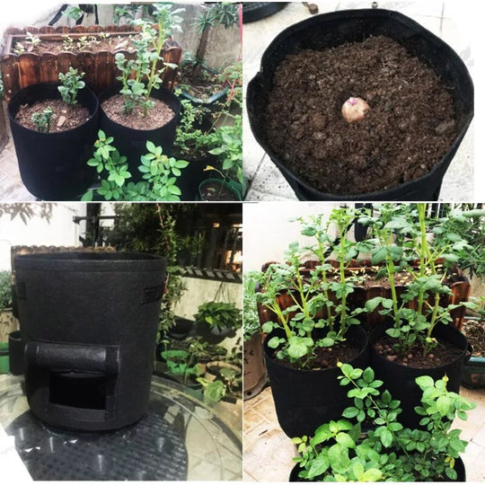 Stoff Pflanzsack mit Sichtfenster | Wiederverwendbarer Grow Bag für Kartoffeln, Kräuter &amp; Gemüse | Atmungsaktiv mit Tragegriffen