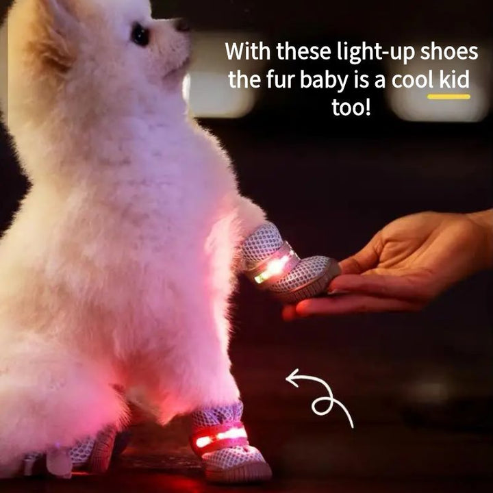 LED Hundeschuhe 4er-Set mit Antirutschsohle | Leuchtende Pfotenschuhe für Hunde | Atmungsaktives Mesh &amp; Klettverschluss | XS–XL