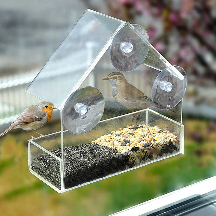 Window bird feeder with 3 suction cups – transparent acrylic for clear view | Open design for more birds | Easy to fill &amp; clean