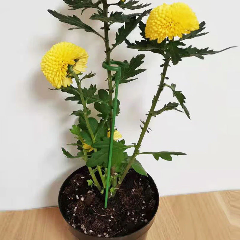 Pflanzenstützen mit Stützring (10er Set) | Gerade Stängel ohne Abknicken | Unauffällig grün, robust &amp; wiederverwendbar | 17–48 cm