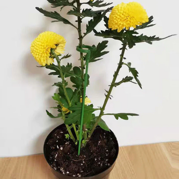 Pflanzenstützen mit Stützring (10er Set) | Gerade Stängel ohne Abknicken | Unauffällig grün, robust &amp; wiederverwendbar | 17–48 cm