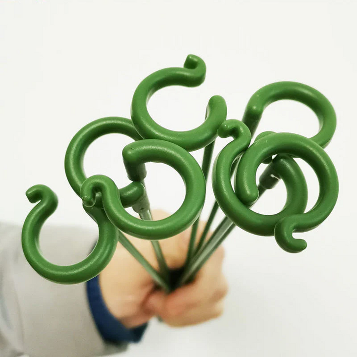 Pflanzenstützen mit Stützring (10er Set) | Gerade Stängel ohne Abknicken | Unauffällig grün, robust &amp; wiederverwendbar | 17–48 cm