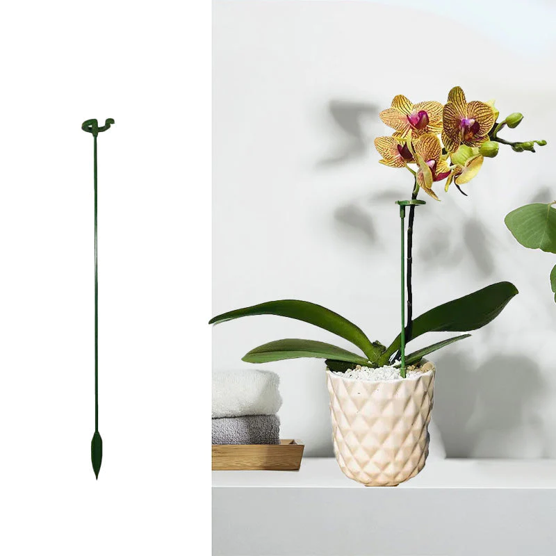 Pflanzenstützen mit Stützring (10er Set) | Gerade Stängel ohne Abknicken | Unauffällig grün, robust &amp; wiederverwendbar | 17–48 cm