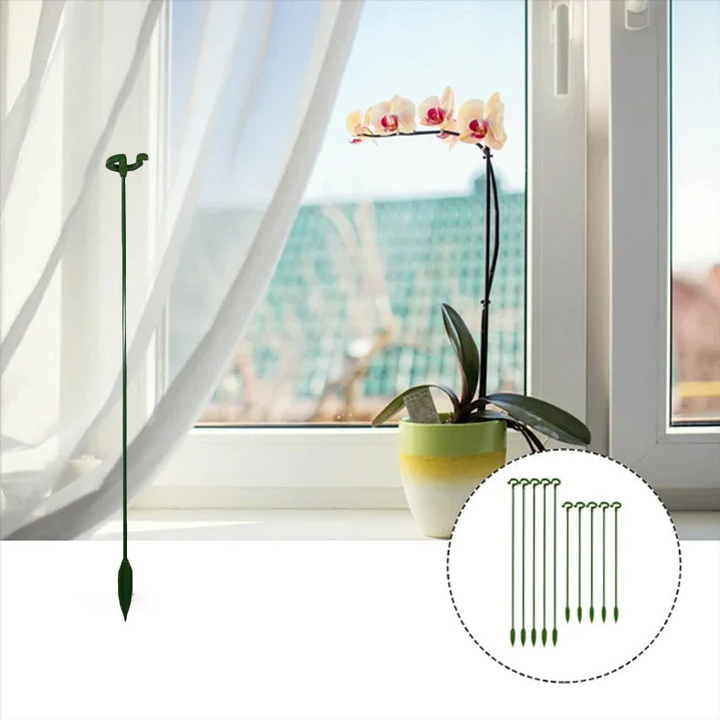 Pflanzenstützen mit Stützring (10er Set) | Gerade Stängel ohne Abknicken | Unauffällig grün, robust &amp; wiederverwendbar | 17–48 cm