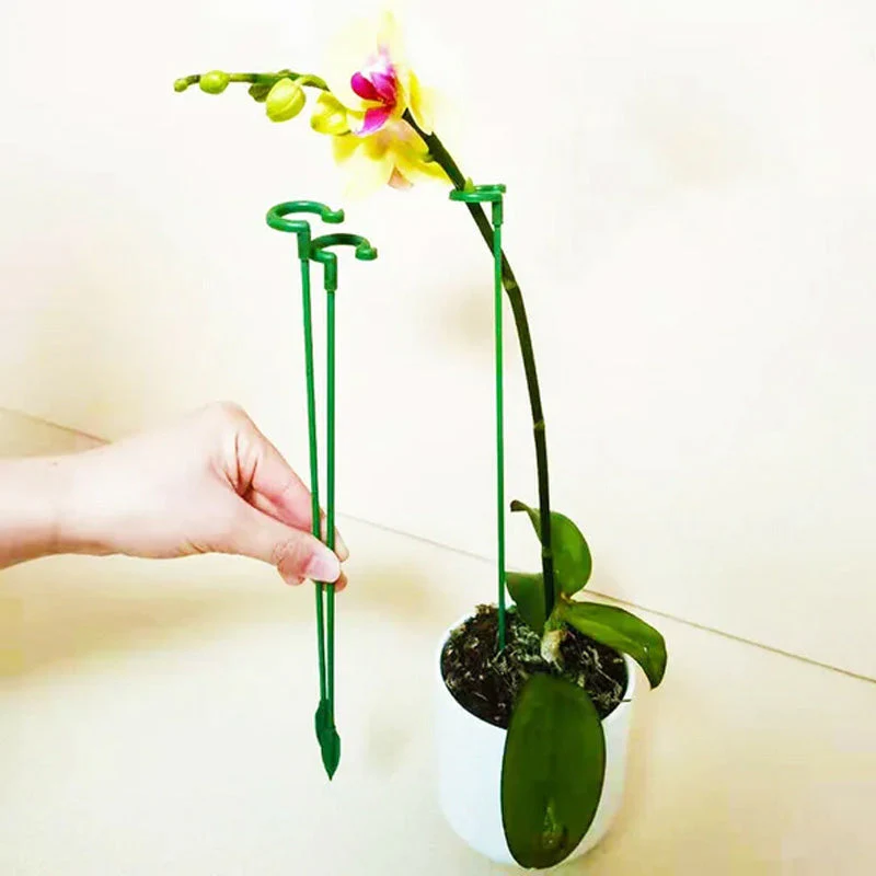 Pflanzenstützen mit Stützring (10er Set) | Gerade Stängel ohne Abknicken | Unauffällig grün, robust &amp; wiederverwendbar | 17–48 cm