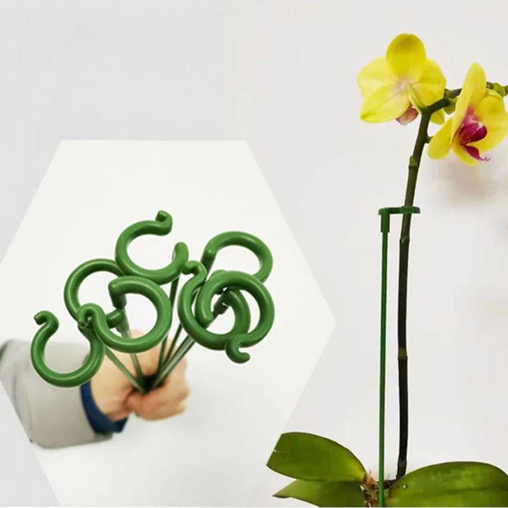Pflanzenstützen mit Stützring (10er Set) | Gerade Stängel ohne Abknicken | Unauffällig grün, robust &amp; wiederverwendbar | 17–48 cm