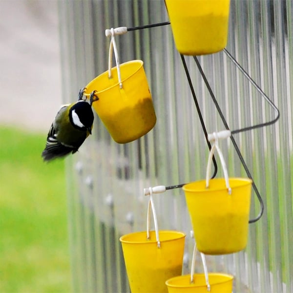 Plaisir de jeu pour oiseaux FederRad™
