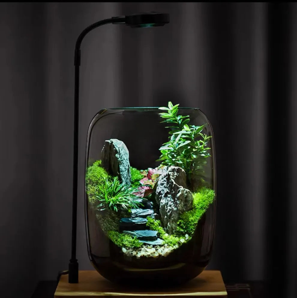 LushVista - Diorama paesaggio di muschio
