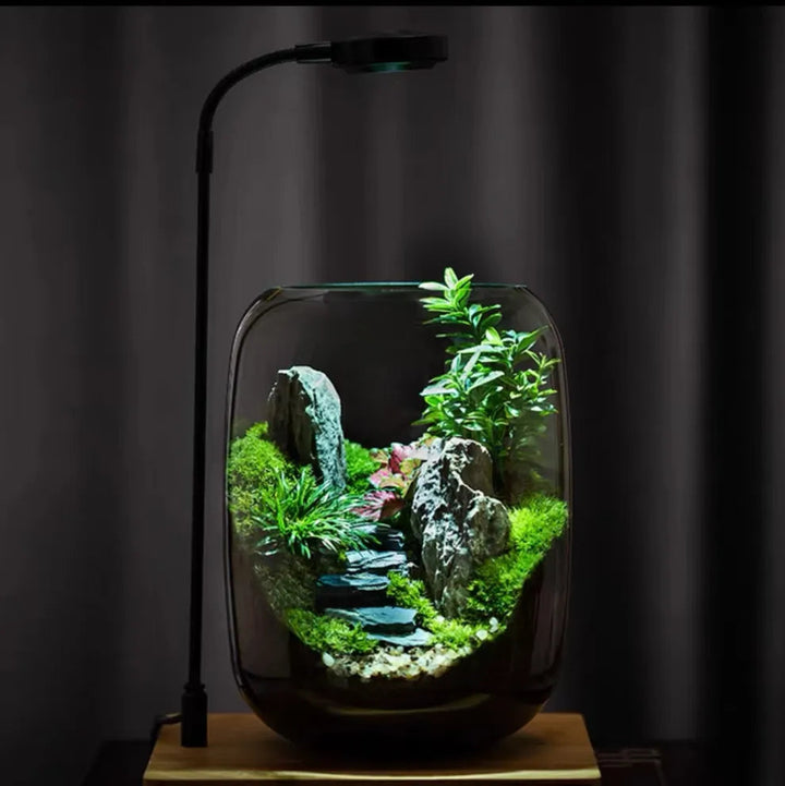 LushVista - Diorama paesaggio di muschio