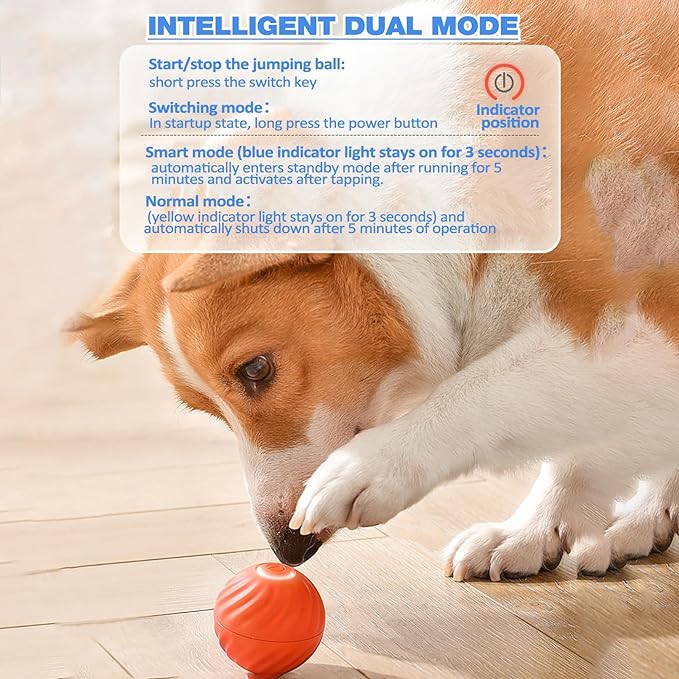 Interaktiver Hundespielball mit Sensoren | Zufallsbewegungen &amp; Blinklicht | Beschäftigung gegen Langeweile | 60 Min Spielzeit