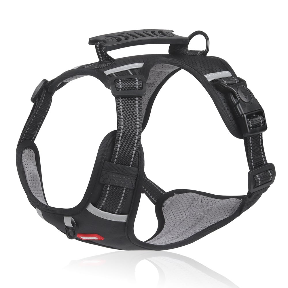 PawSecure™ Reduces Pulling Pressure