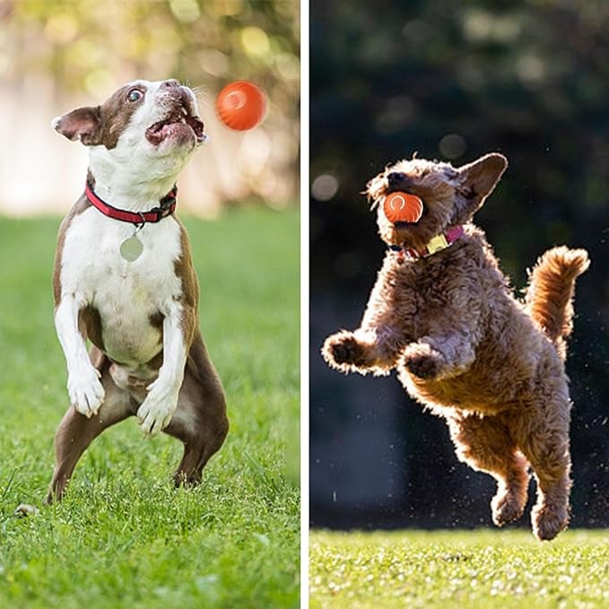 Interaktiver Hundespielball mit Sensoren | Zufallsbewegungen &amp; Blinklicht | Beschäftigung gegen Langeweile | 60 Min Spielzeit