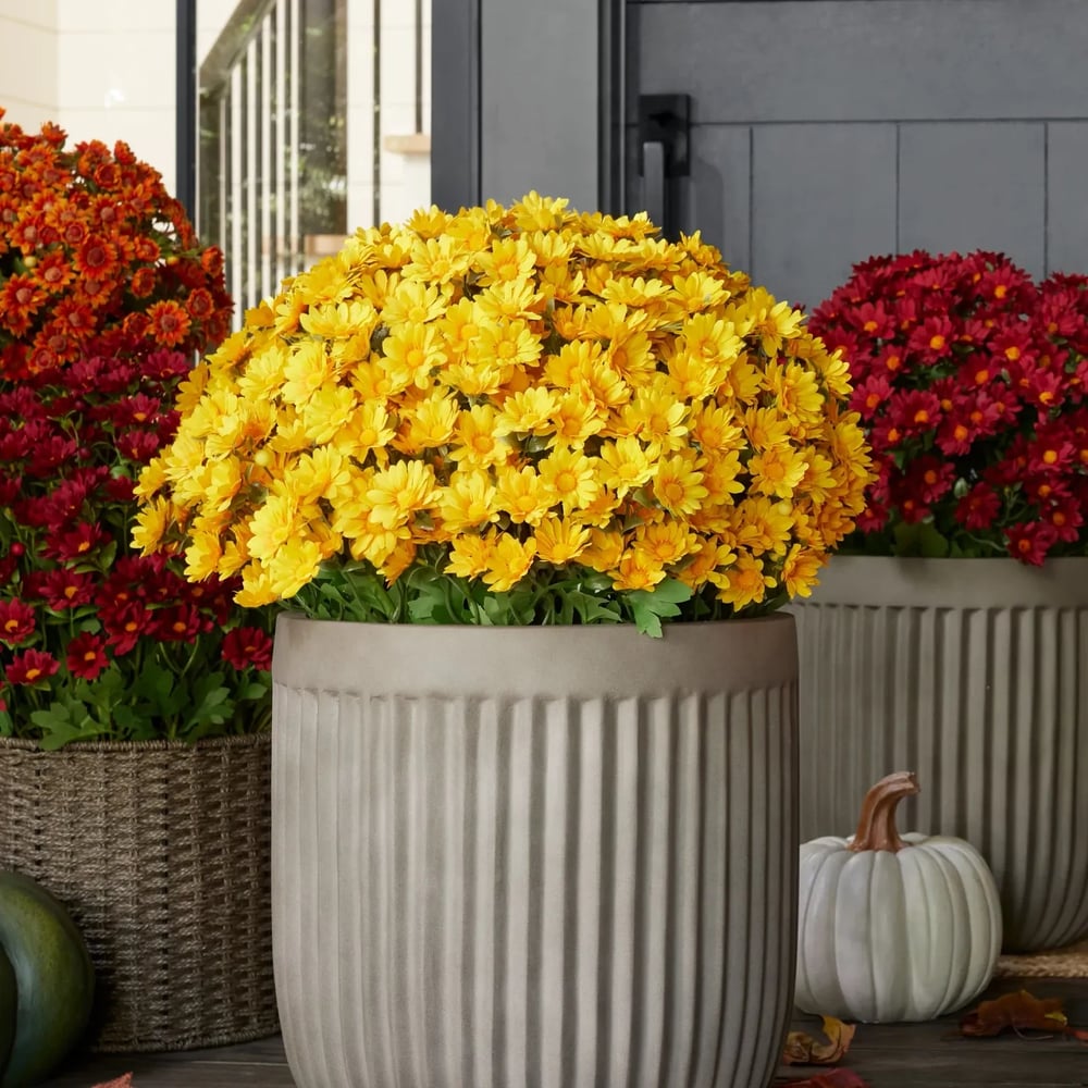 Chrysanthèmes artificiels | Résistants aux UV | Décoration d&