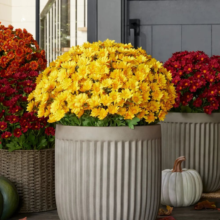 Chrysanthèmes artificiels | Résistants aux UV | Décoration d&