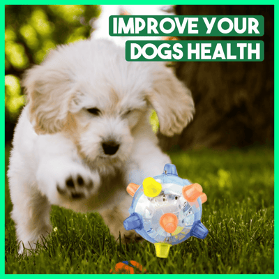 Interactive Dog Ball | Bouncing &amp; Light-Up | With Sound Function | BPA-Free &amp; Durable