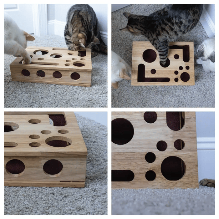 Interaktives Katzen-Puzzle aus Holz | Snack- &amp; Futterspender mit Schiebewegen | Mentale Beschäftigung gegen Langeweile