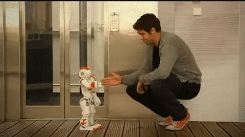 RoboLern™ Smart Kinder-Roboter | Gestensteuerung, Musik &amp; Tanz | Programmierbar | Interaktives Lernspielzeug