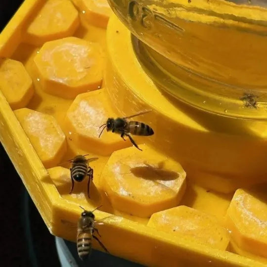 Abbeveratoio per api UV giallo con design anti-affogamento | Adatto a barattoli Mason | Resistente alle intemperie, PETG riciclato