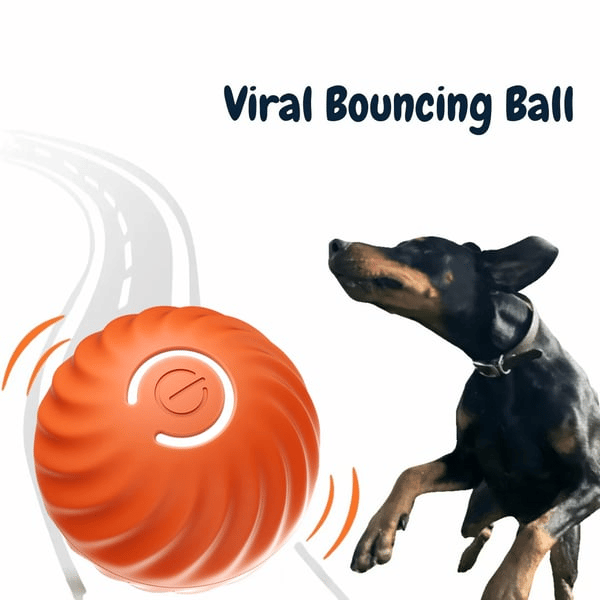 Interaktiver Hundespielball mit Sensoren | Zufallsbewegungen &amp; Blinklicht | Beschäftigung gegen Langeweile | 60 Min Spielzeit