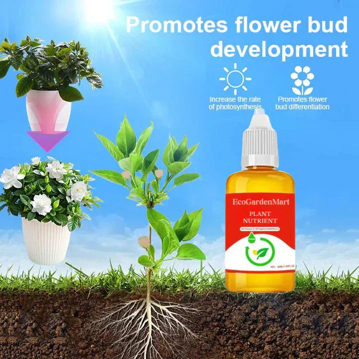 Natural plant growth booster | Enzymes &amp; plant extracts for roots &amp; foliage | For houseplants, vegetables &amp; flowers