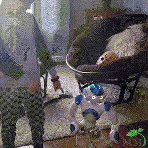 RoboLern™ Smart Kinder-Roboter | Gestensteuerung, Musik &amp; Tanz | Programmierbar | Interaktives Lernspielzeug