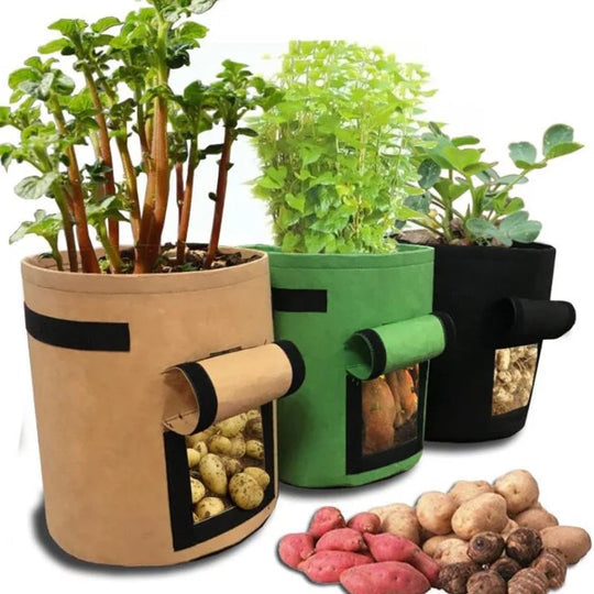 Stoff Pflanzsack mit Sichtfenster | Wiederverwendbarer Grow Bag für Kartoffeln, Kräuter &amp; Gemüse | Atmungsaktiv mit Tragegriffen