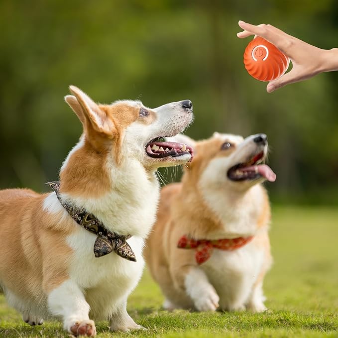 Interaktiver Hundespielball mit Sensoren | Zufallsbewegungen &amp; Blinklicht | Beschäftigung gegen Langeweile | 60 Min Spielzeit