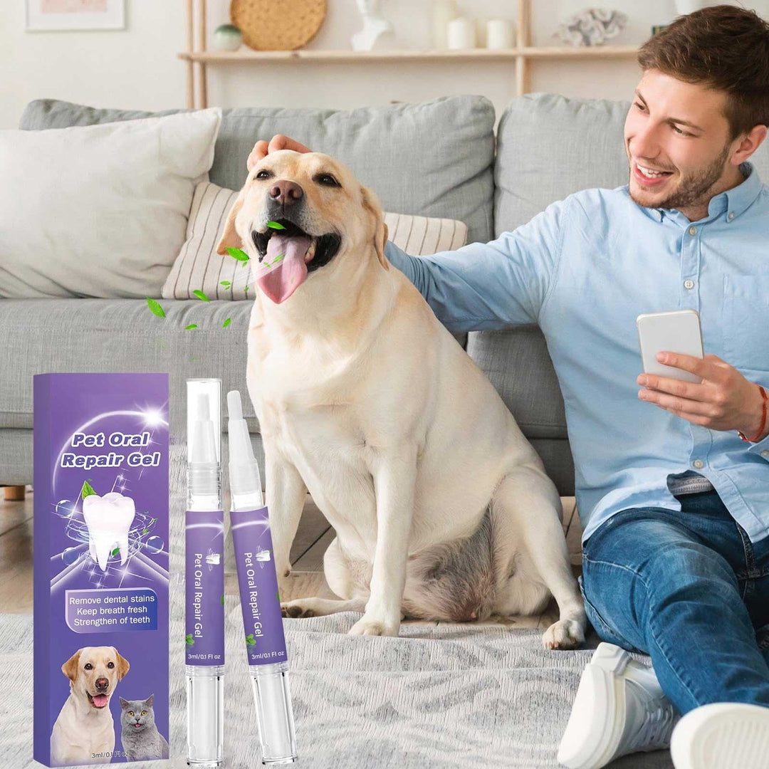 Zahnpflege-Gel für Hunde &amp; Katzen | sanfte Plaque-Reinigung &amp; frischer Atem | gegen Zahnstein, schonend fürs Zahnfleisch