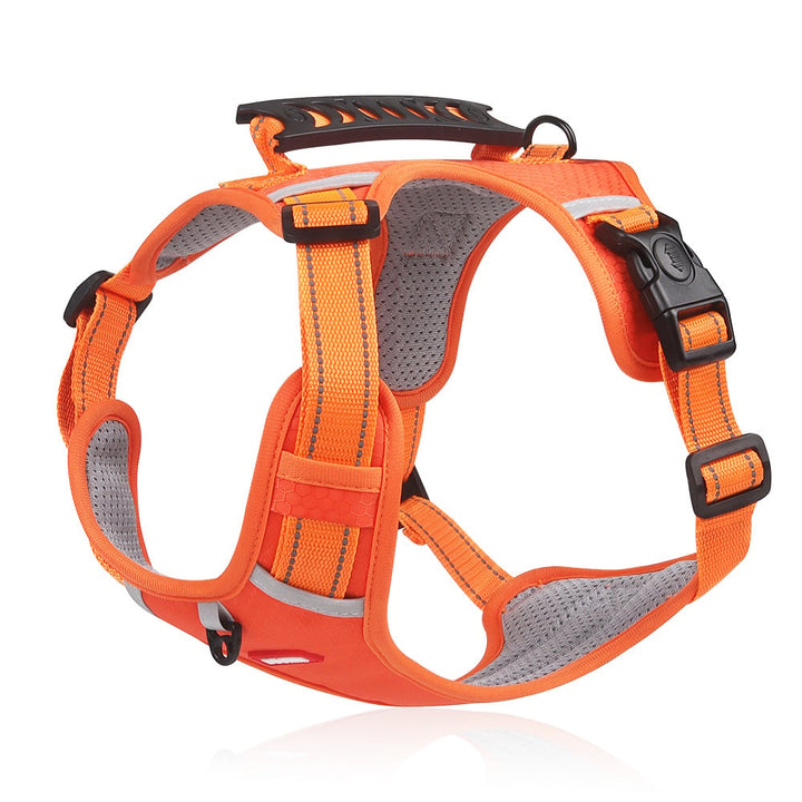 PawSecure™ Reduces Pulling Pressure