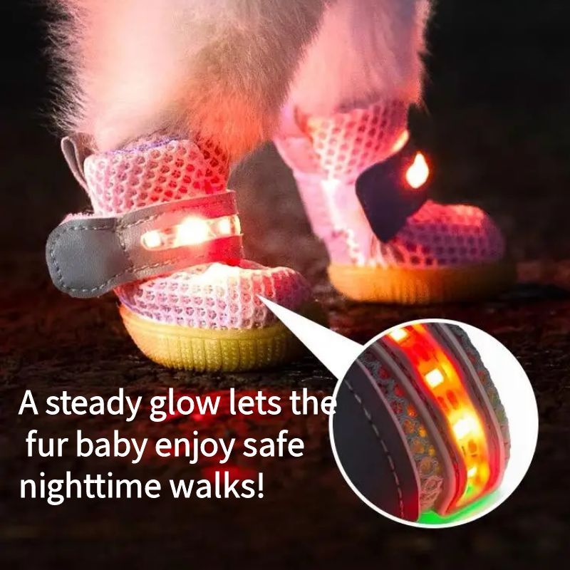 LED Hundeschuhe 4er-Set mit Antirutschsohle | Leuchtende Pfotenschuhe für Hunde | Atmungsaktives Mesh &amp; Klettverschluss | XS–XL