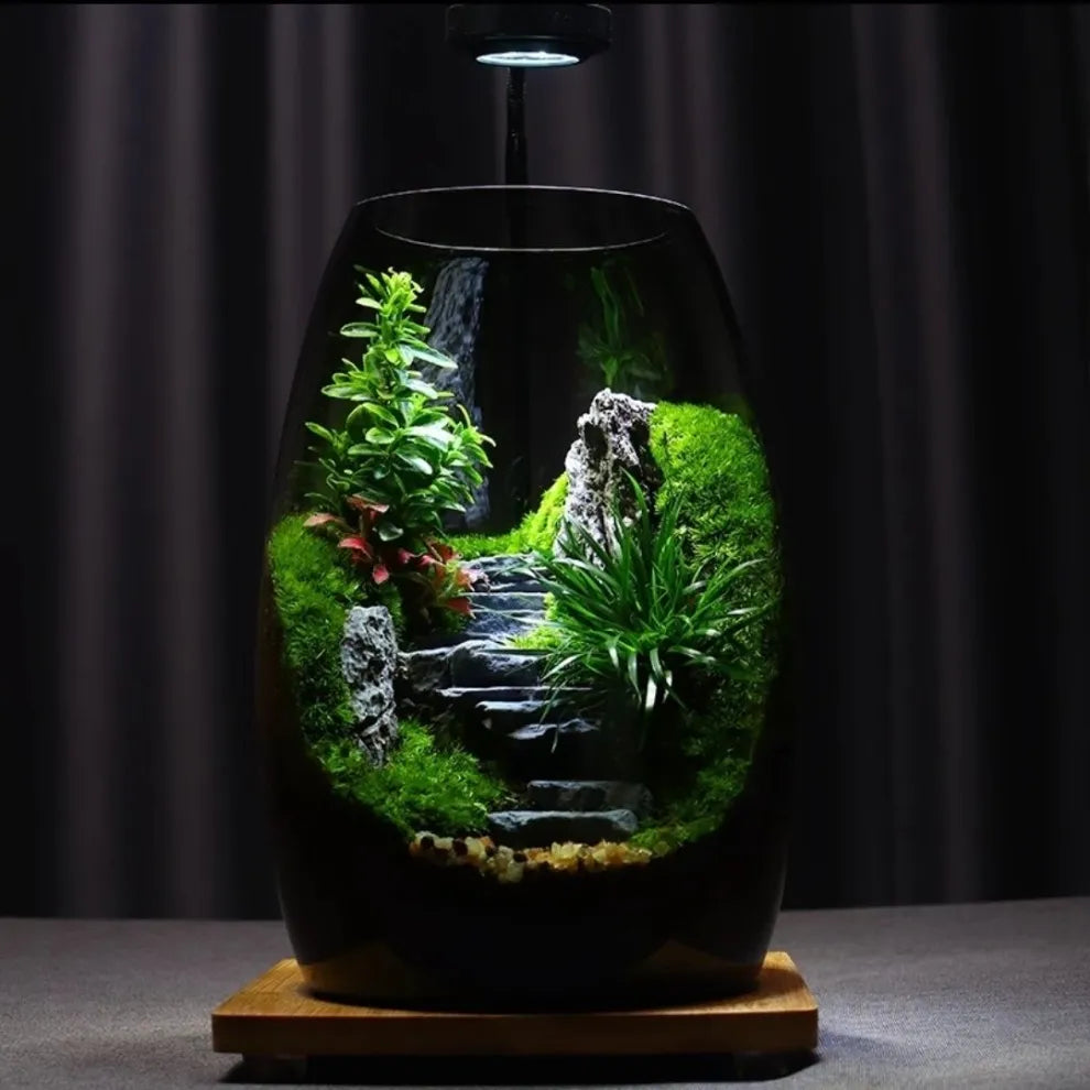 LushVista - Diorama paesaggio di muschio