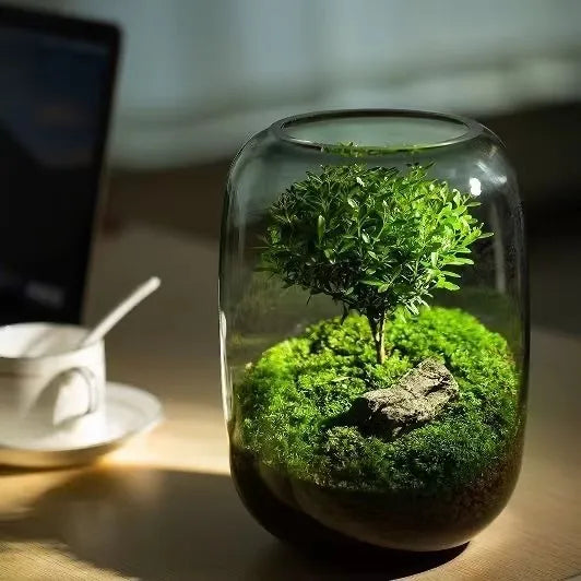 LushVista - Diorama paesaggio di muschio